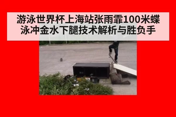 游泳世界杯上海站张雨霏100米蝶泳冲金水下腿技术解析与胜负手